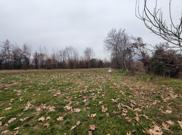 SARCEDO - CASA SINGOLA SU 5.000 MQ DI TERRENO CON GARAGE E RICOVERO ATTREZZI.